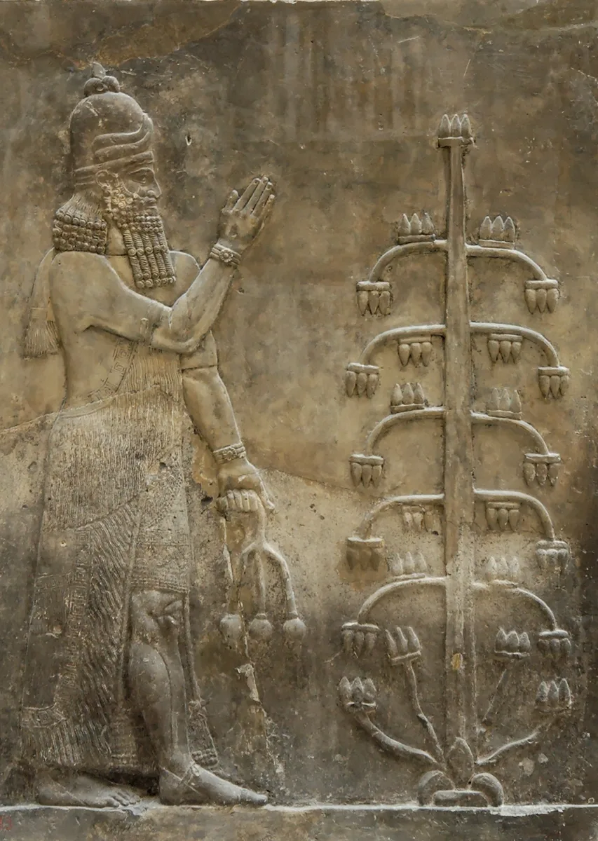 Sarduri II