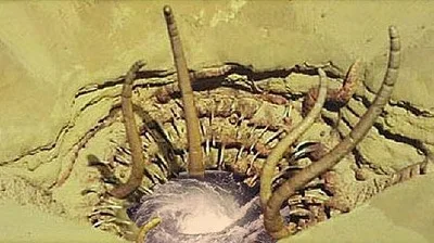 Sarlacc comic character