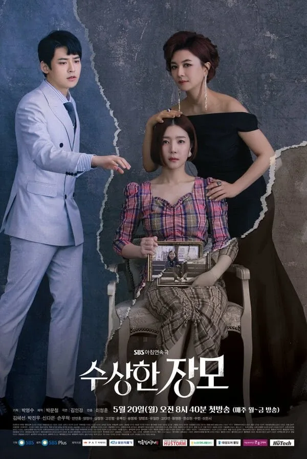 Shady Mom-in-Law poster
