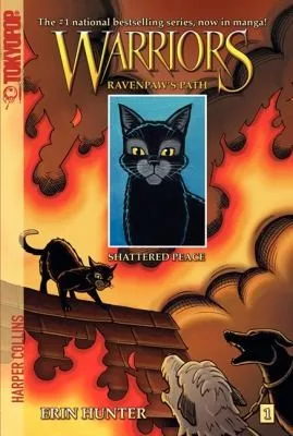 Shattered Peace book cover