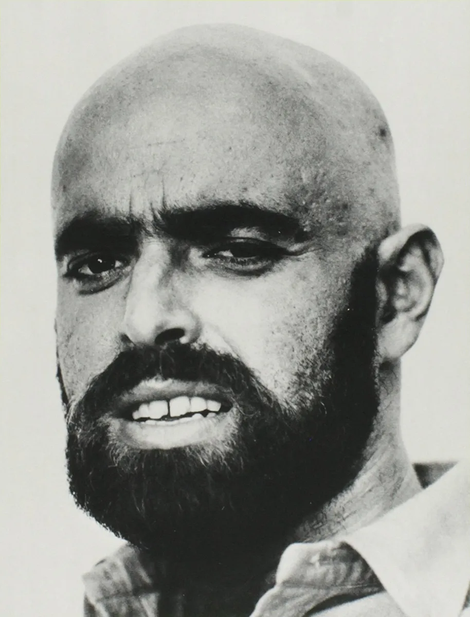 Shel Silverstein discography
