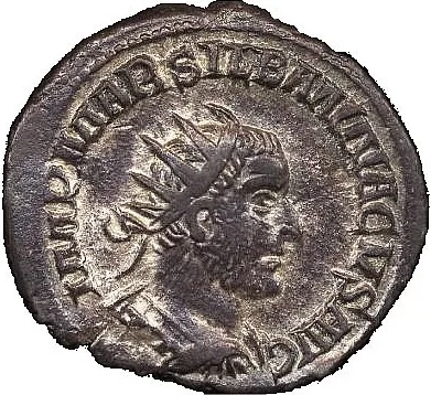 Silbannacus