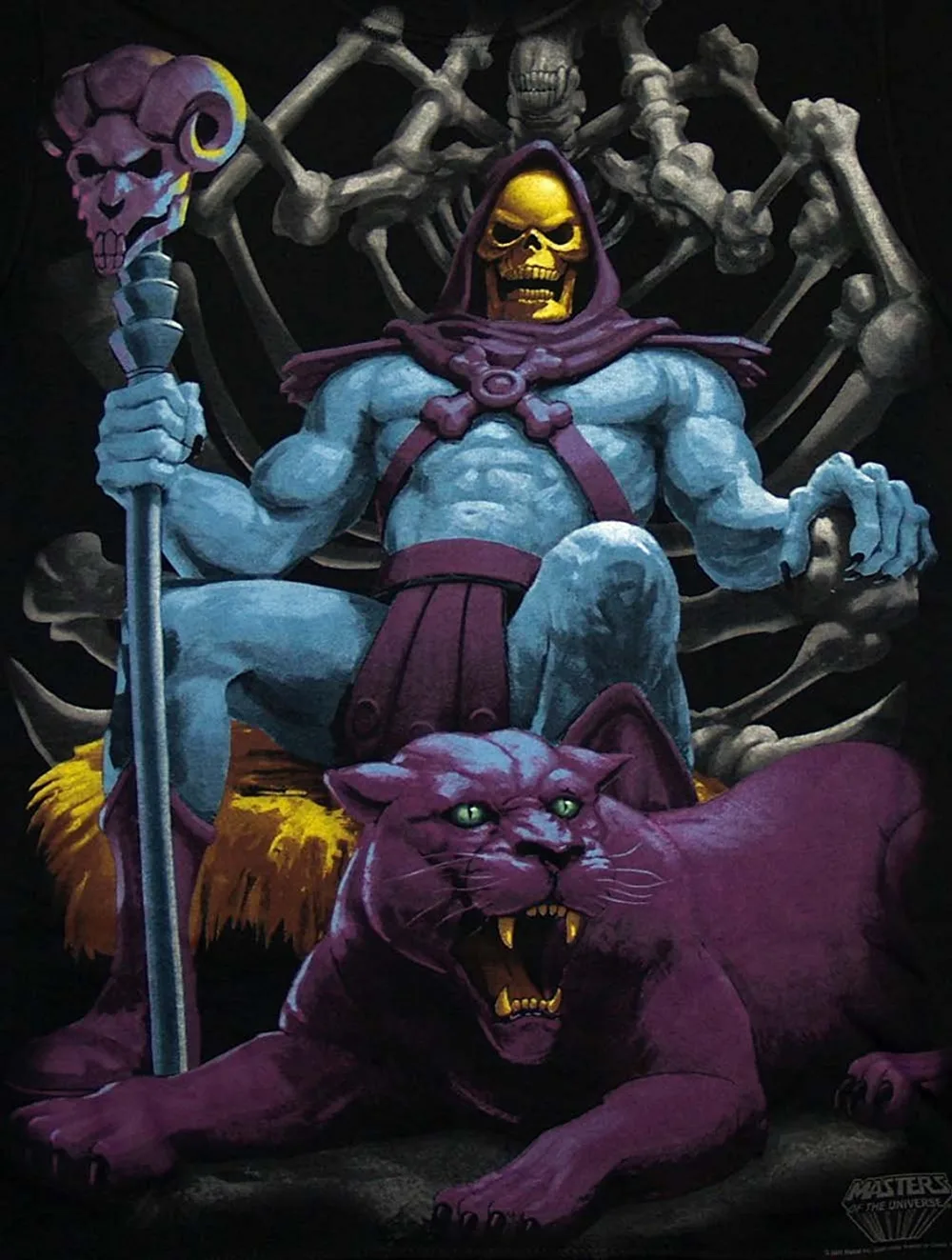 Skeletor comic character
