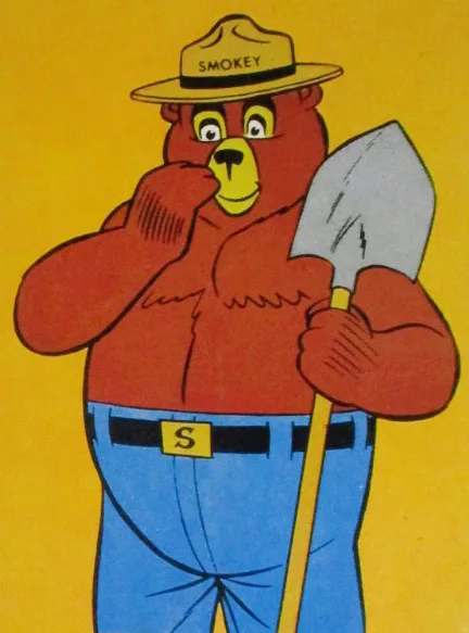 Smokey the Bear comic character
