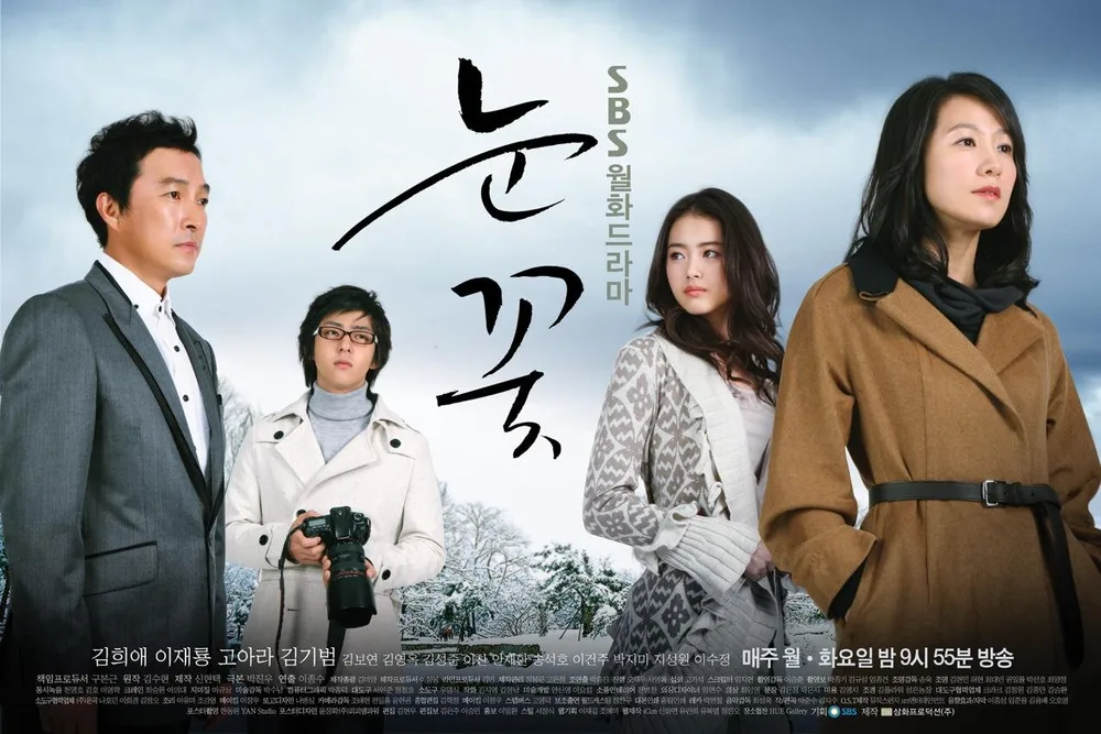 Snow Flower poster