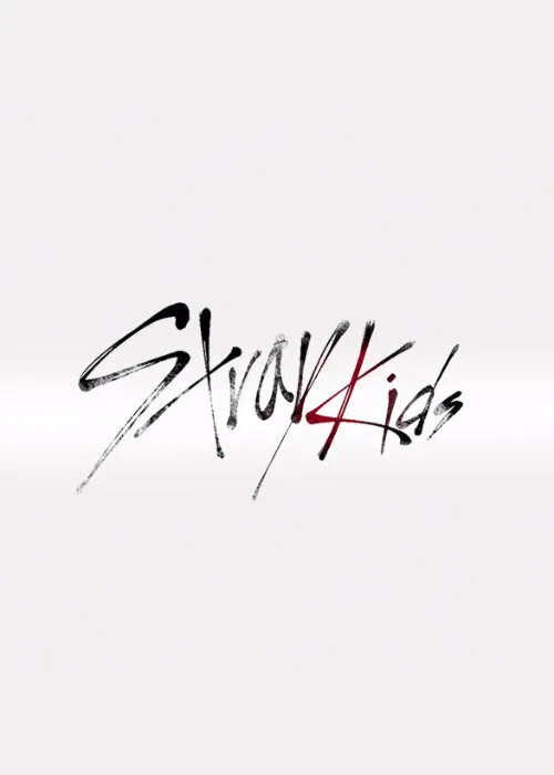 Stray Kids poster
