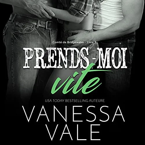 Take Me Fast book cover