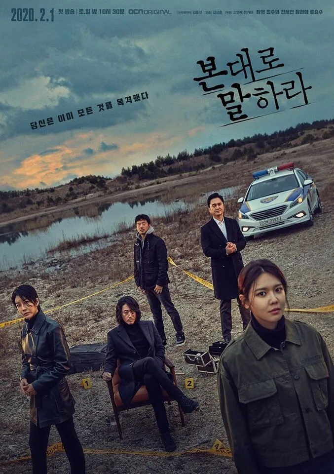 Tell Me What You Saw poster