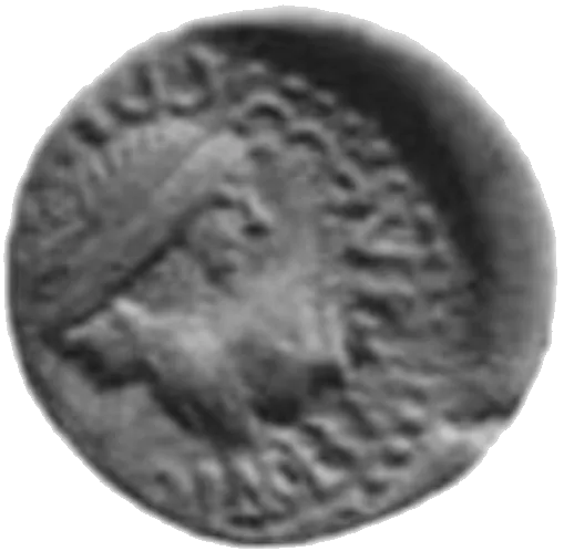 Tiberius Julius Rhescuporis V