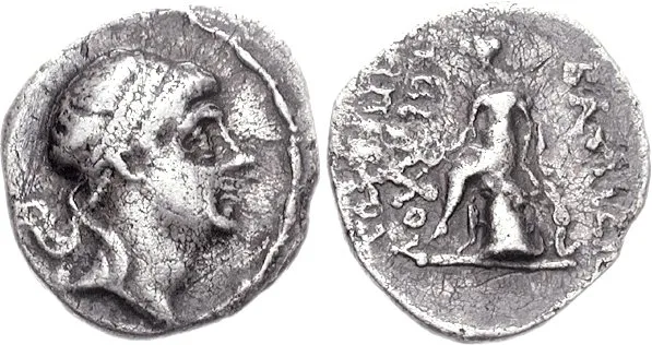 Timarchus