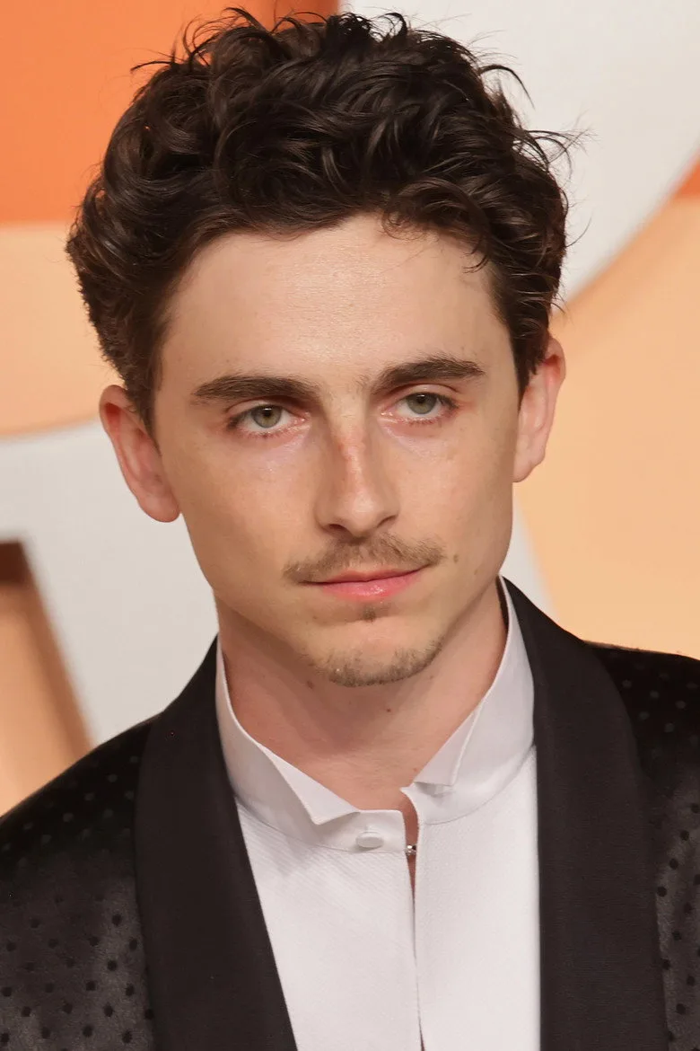 Timothée Chalamet filmography