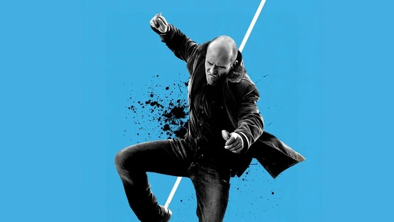 Wild Card TMDB poster or backdrop