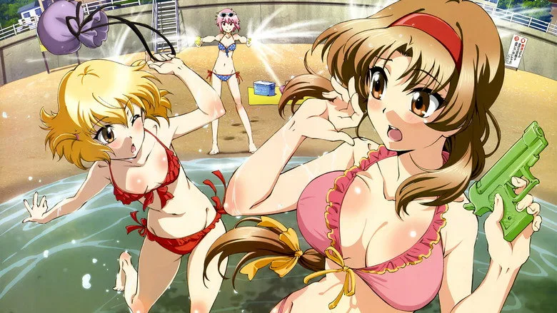 D-Frag! poster