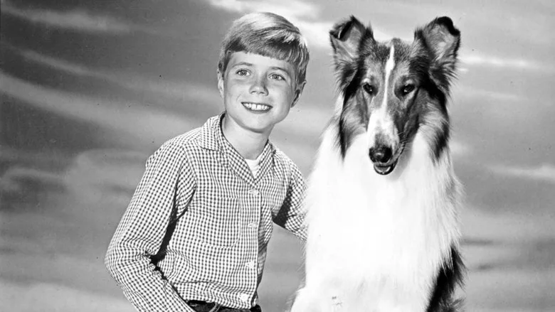 Lassie poster