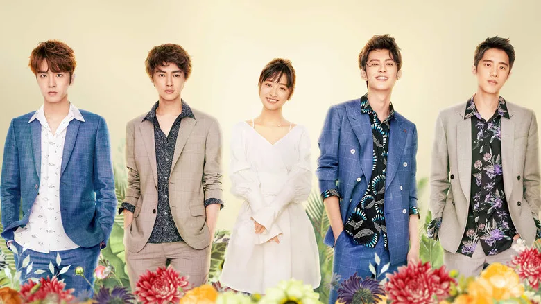 Meteor Garden TMDB poster or backdrop