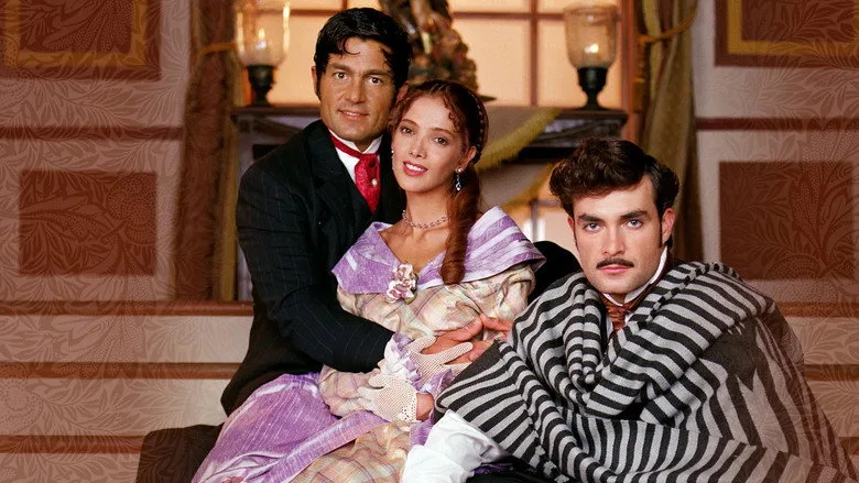 Amor Real TMDB poster or backdrop