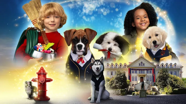 Pup Academy TMDB poster or backdrop