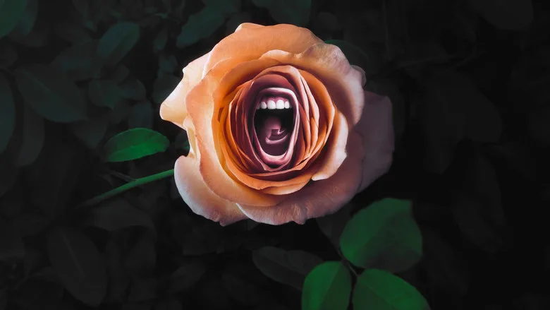 Roar poster