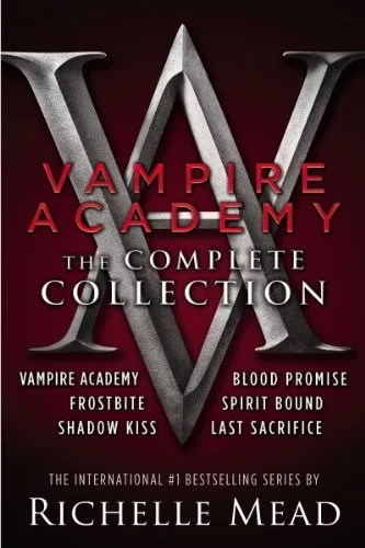 Vampire Academy book cover
