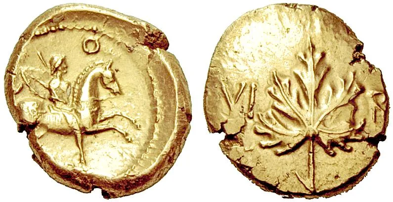 Verica