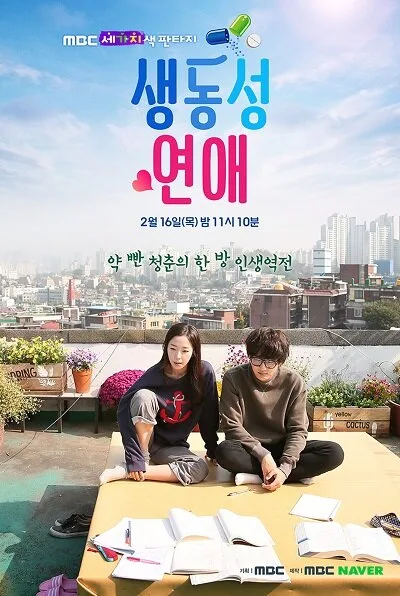 Vivid Romance poster