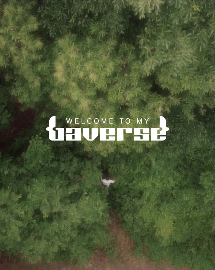 Welcome to My Baverse poster