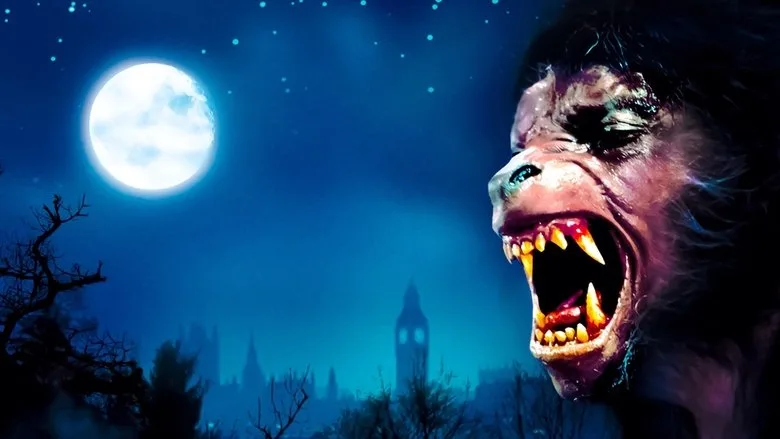 An American Werewolf in London TMDB poster or backdrop