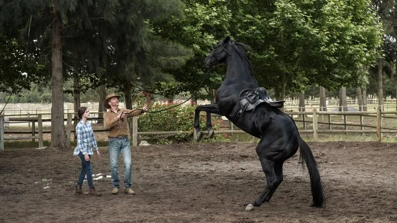 Black Beauty TMDB poster or backdrop