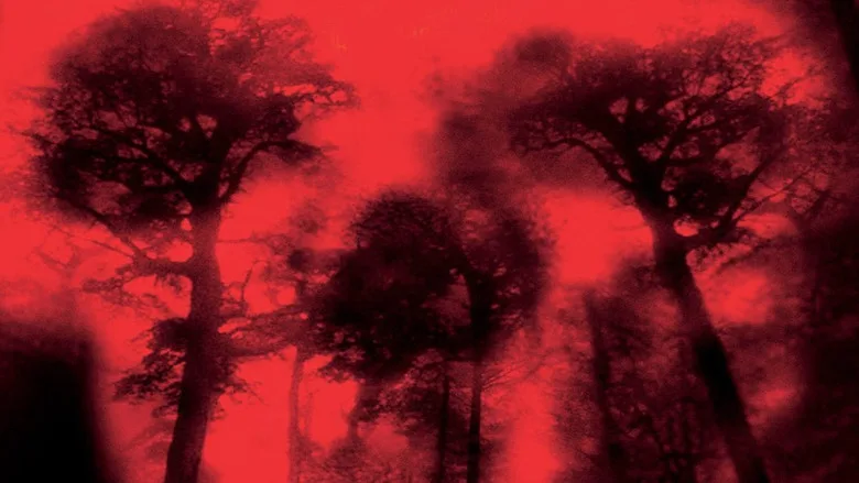 Cabin Fever poster