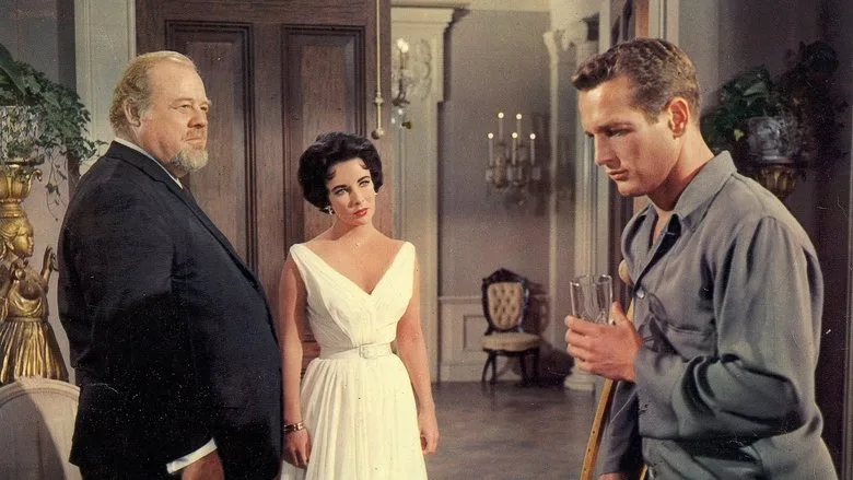 Cat on a Hot Tin Roof TMDB poster or backdrop
