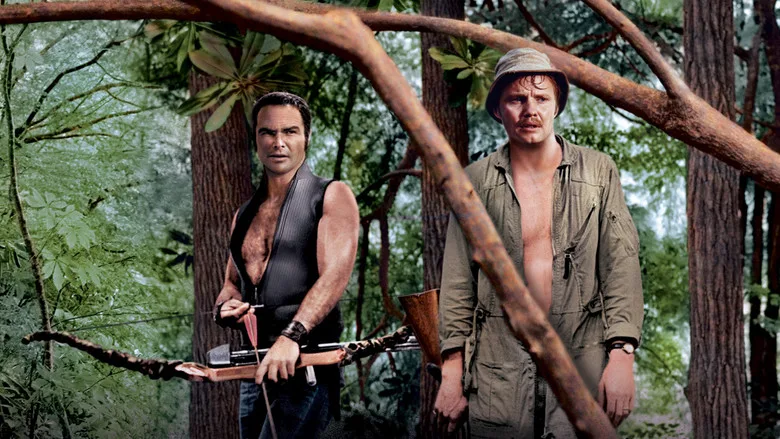 Deliverance poster