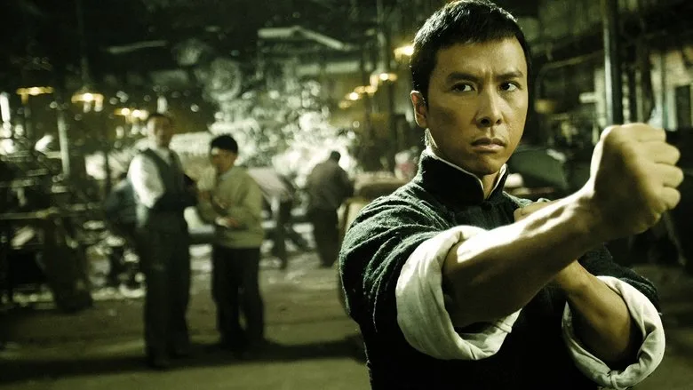 Ip Man TMDB poster or backdrop