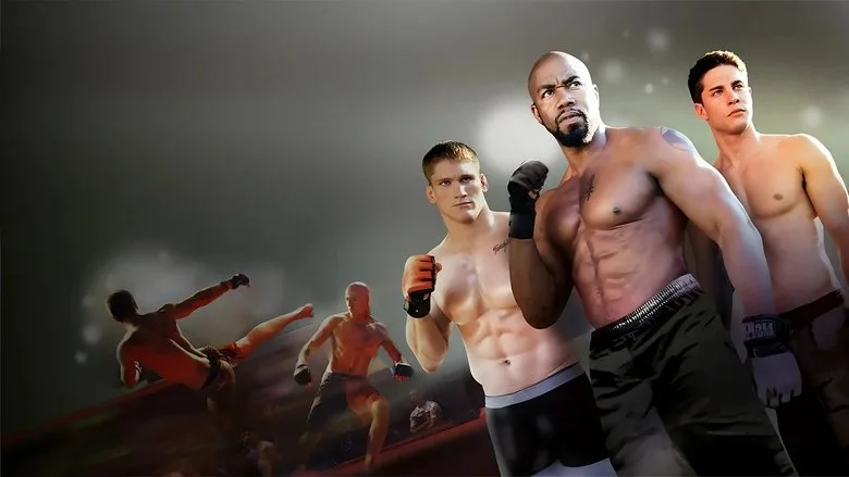 Never Back Down 2: The Beatdown TMDB poster or backdrop