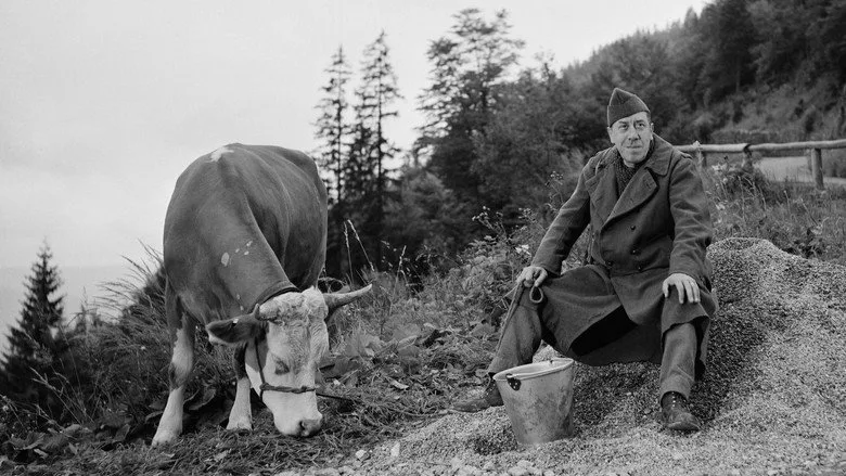 The Cow and I poster