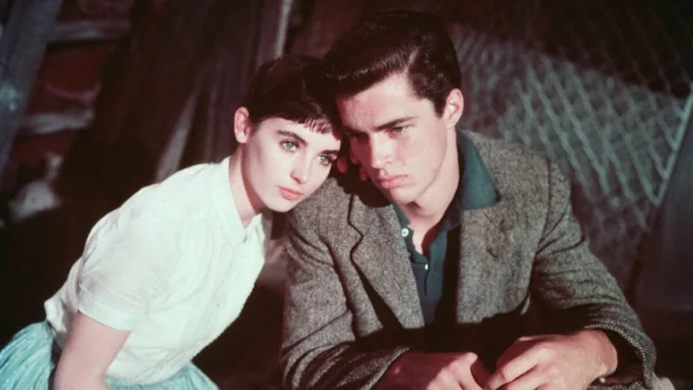 The Diary of Anne Frank poster
