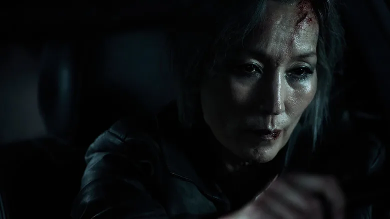 The Old Woman with the Knife poster