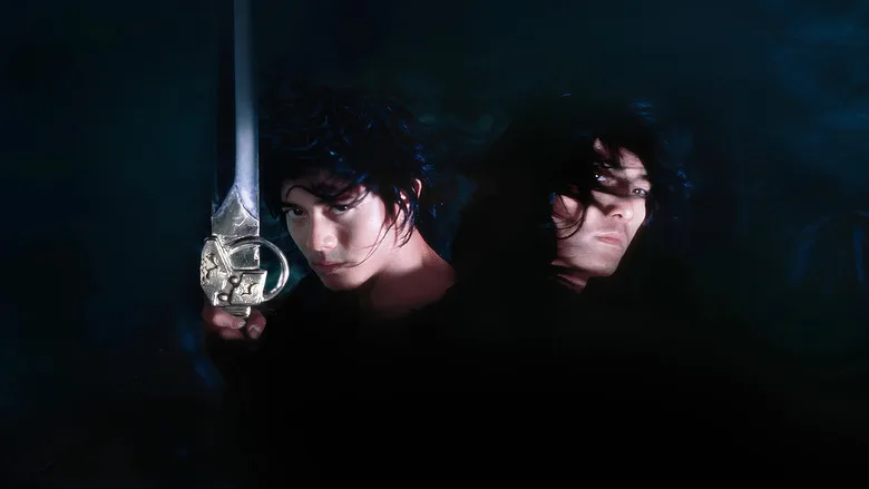 The Storm Riders poster
