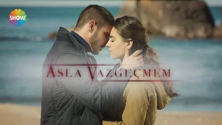 Asla Vazgeçmem poster