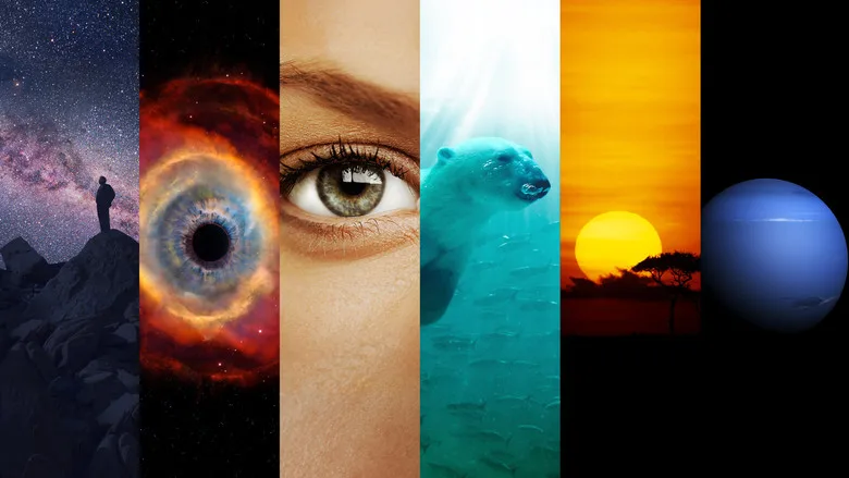 Cosmos poster