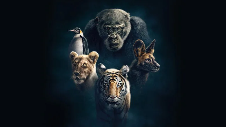 Dynasties poster