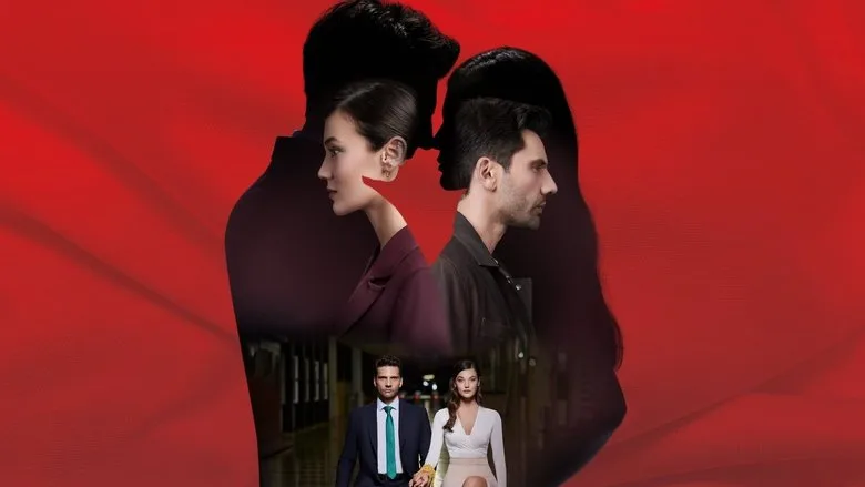 Family Secrets poster