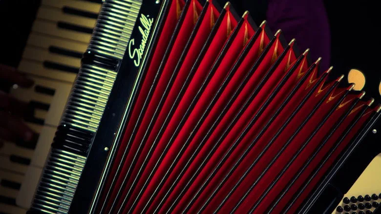‘Pedazo de acordeón’, un viaje a través de la historia del vallenato poster