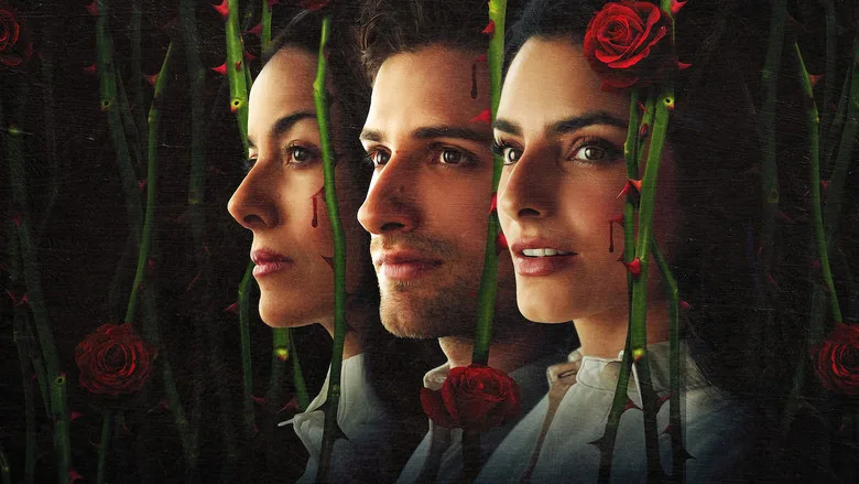 The House of Flowers TMDB poster or backdrop