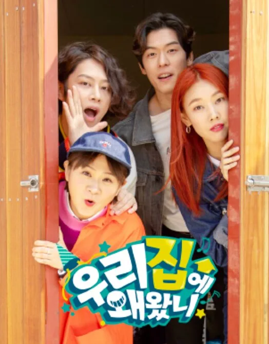 Why Did You Come to My House poster