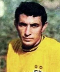 Wilson da Silva Piazza