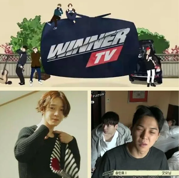 WINNER TV poster