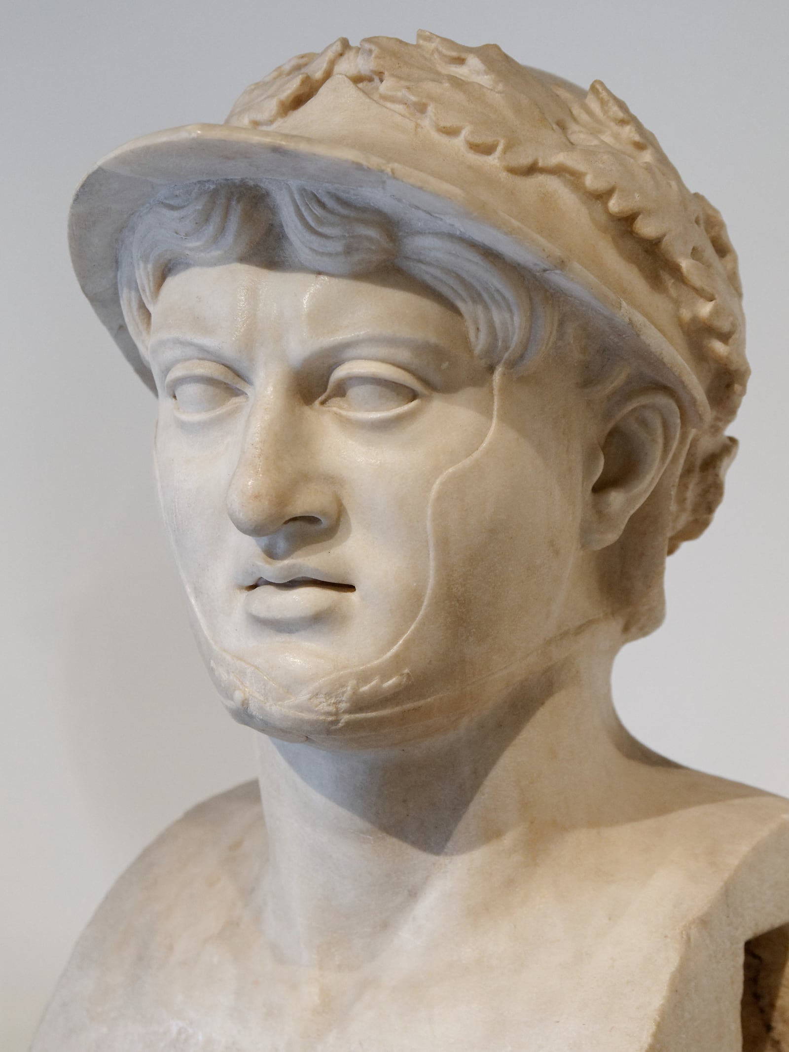 Pyrrhus reference image