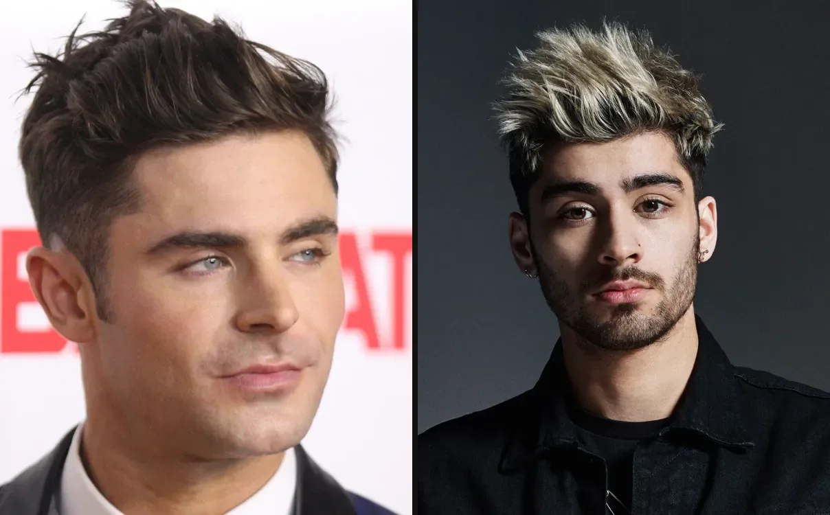 Zac Efron vs Zayn Malik net worth